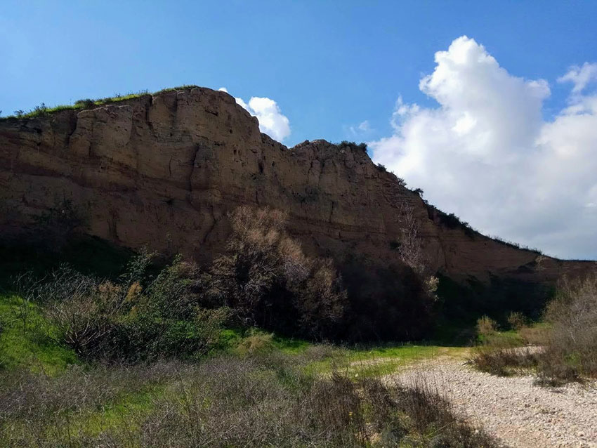 בן הזוג מתרחק | אריאל ונוגה טמיר